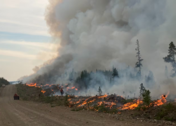 கனடாவின் காட்டுத்தீ தொடர்பில் வெளியான அதிர்ச்சி தகவல் ; 82000 பேர் பலி