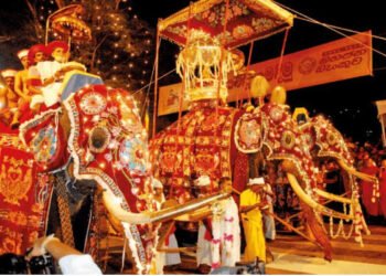 49 ஆண்டுகளில் ஏற்பட்ட மாற்றம்! பௌத்த மத பாதுகாப்பு குறித்து எழுந்துள்ள கரிசனை