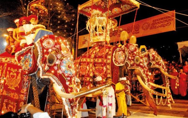 49 ஆண்டுகளில் ஏற்பட்ட மாற்றம்! பௌத்த மத பாதுகாப்பு குறித்து எழுந்துள்ள கரிசனை