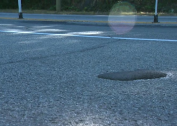 கனடாவில் சர்வதேச கவனத்தை ஈர்த்த சாலை விபத்து