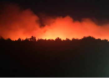 ஒட்டாவா தெற்கில் 100 ஏக்கர் காட்டுத் தீ – அவசரநிலை அறிவிப்பு