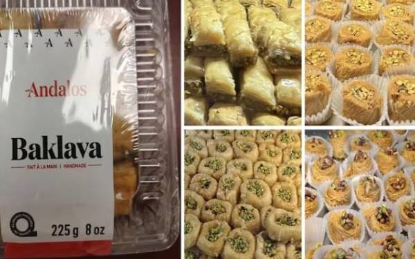 கனடாவில் பிஸ்தாவில் நோய்க்கிருமிகள்: சுகாதார அமைப்பு அறிவிப்பு