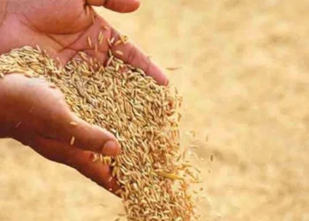 40,000 மெட்ரிக் தொன்னுக்கும் அதிகமான நெல் கொள்முதல்