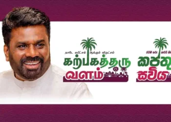 உலக தெங்கு தின கொண்டாட்டம் முல்லைத்தீவில்