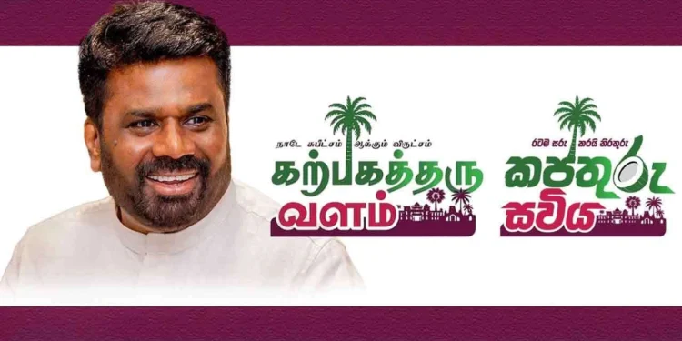 உலக தெங்கு தின கொண்டாட்டம் முல்லைத்தீவில்