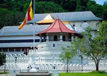 தியவடன நிலமே நியமிக்கப்பட்டமைக்கு எதிரான மனு விசாரணைக்கு