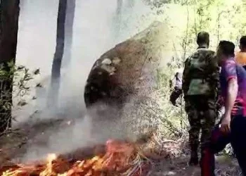 நன்பேரியல் வனப்பகுதியில் தீயை கட்டுப்படுத்த இராணுவம் களத்தில்