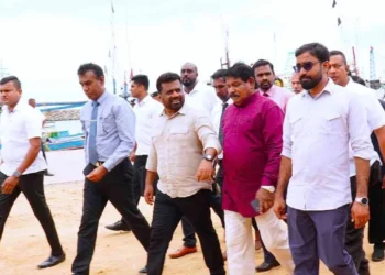 மயிலிட்டித் துறைமுகத்தின் அபிவிருத்திப் பணிகள் ஆரம்பம்!