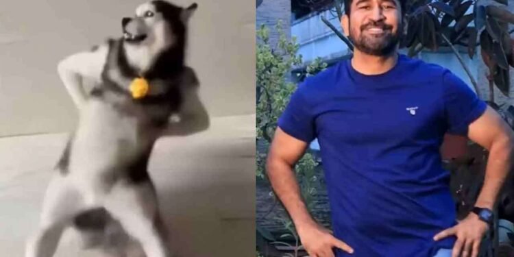 Husky டேன்ஸ் டிரெண்டில் இணைந்த விஜய் ஆண்டனி