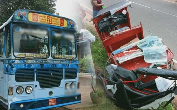 வாகன விபத்துக்களால் 8 பேர் பலி!