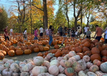 ஒட்டாவாவில் பதிவான சாதனை வெப்பநிலை