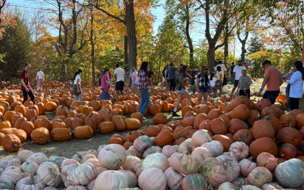 ஒட்டாவாவில் பதிவான சாதனை வெப்பநிலை