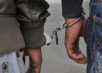 புதையல் தோண்டிய பலர் கைது