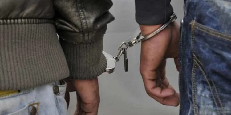 புதையல் தோண்டிய பலர் கைது