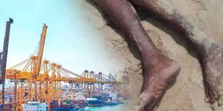 கொழும்பு துறைமுகத்தில் அழுகிய நிலையில் சடலம் மீட்பு