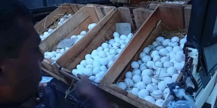 20 ரூபாவுக்கு விற்பனை செய்யப்படும் முட்டை