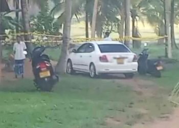 சகோதரனை வாளால் வெட்டிக் கொலை செய்தவர் கைது