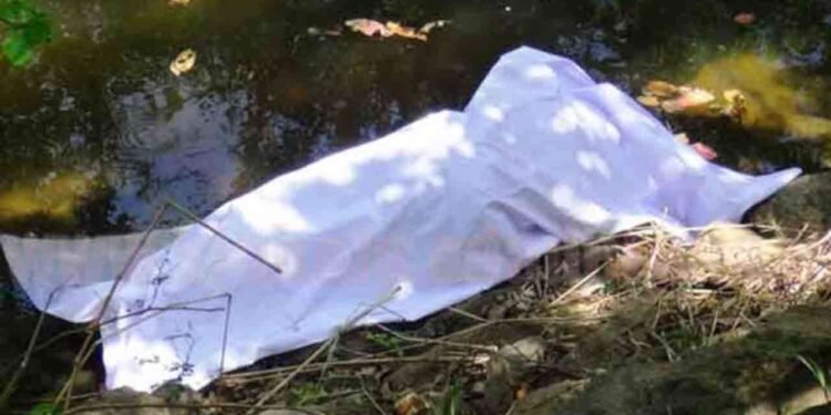 வனப்பகுதியில் இளைஞனின் சடலம் மீட்பு