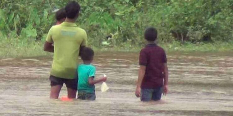 கிங், நில்வளா கங்கைகளில் வெள்ள அபாயம்