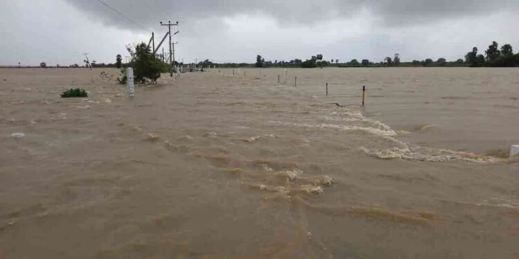 மட்டக்களப்பில் மூன்று ஆற்றுப்படுகைகளுக்கு எச்சரிக்கை