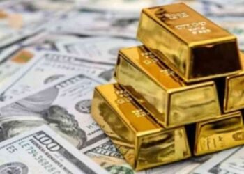 வெளிநாட்டு கையிருப்பை இந்த வருட இறுதிக்குள் 7 பில்லியன் அமெரிக்க டொலர்