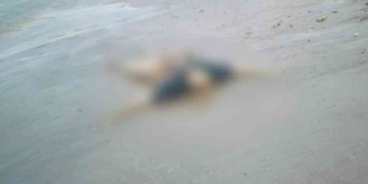 வாகரையில் உருக்குலைந்த நிலையில் கரையொதுங்கிய சடலம்