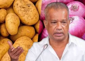 உருளைக்கிழங்கு, பெரிய வெங்காயம் கொள்வனவு விலை அறிவிப்பு!