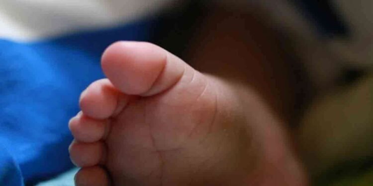 யாழில் பிறந்த இரட்டை குழந்தைகளும் உயிரிழந்த துயரம்!