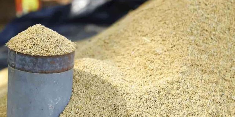 நெல் கையிருப்பை அரிசியாக்கி சந்தைக்கு விநியோகிக்க அனுமதி