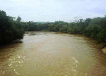 களனி கங்கையின் நீர்மட்டம் சடுதியாக குறைவு