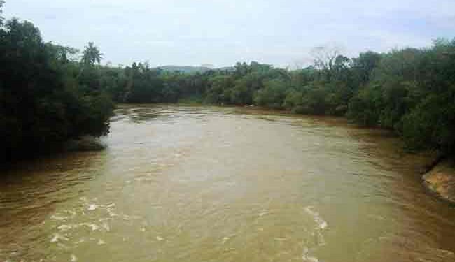 களனி கங்கையின் நீர்மட்டம் சடுதியாக குறைவு