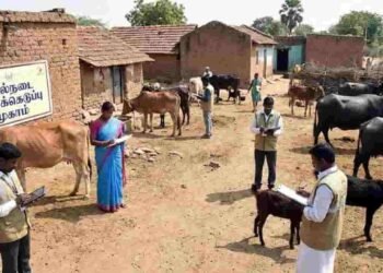 வட மாகாண கால்நடைகள் பதிவு தொடர்பான அறிவிப்பு