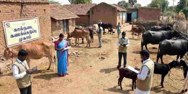 வட மாகாண கால்நடைகள் பதிவு தொடர்பான அறிவிப்பு