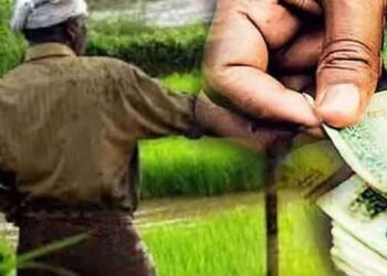 விவசாயிகளுக்கு நற்செய்தி ஓய்வூதிய விண்ணப்ப கால அவகாசம் நீட்டிப்பு!