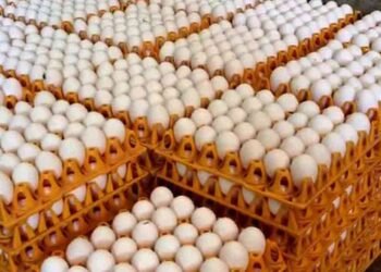முட்டை விலையில் மாற்றம் இல்லை – உற்பத்தியாளர்கள் அறிவிப்பு!