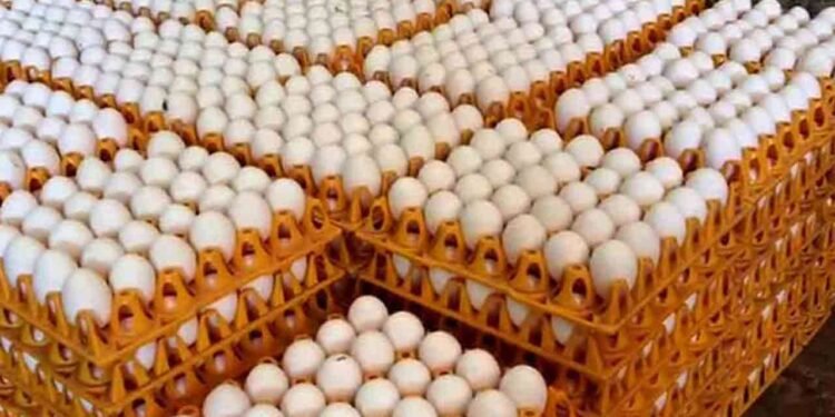 முட்டை விலையில் மாற்றம் இல்லை – உற்பத்தியாளர்கள் அறிவிப்பு!