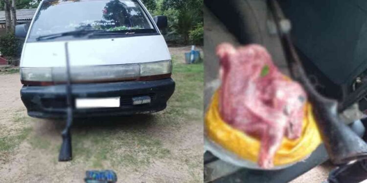 மான் வேட்டையில் ஈடுபட்ட இருவர் துப்பாக்கியுடன் கைது!