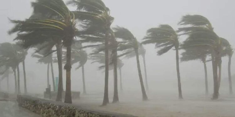 பெரும்பாலான பிரதேசங்களில் வரட்சியும் பலத்த காற்றும்!