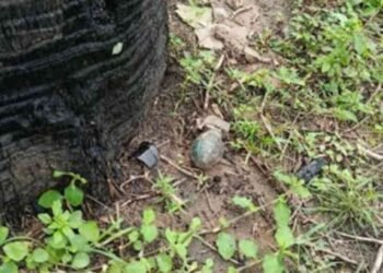 பாடசாலைக்கு அருகிலுள்ள காணியில் கைக்குண்டு மீட்பு!