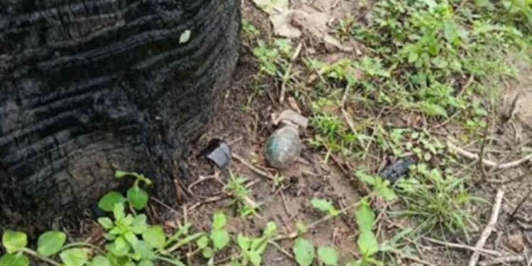 பாடசாலைக்கு அருகிலுள்ள காணியில் கைக்குண்டு மீட்பு!