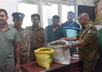 யாழ் சுப்பர்மடம் பகுதியில் கஞ்சாவுடன் இருவர் கைது