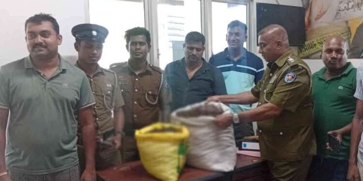 யாழ் சுப்பர்மடம் பகுதியில் கஞ்சாவுடன் இருவர் கைது