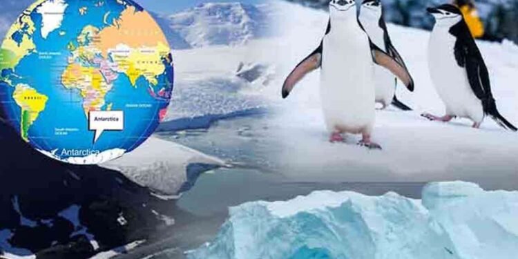அண்டார்டிகா பனிக்கு அடியில் மறைந்திருக்கும் நிலப்பரப்பு!