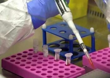 நிப்பா வைரஸ் குறித்து அச்சம் வேண்டாம்: சுகாதார பிரதி அமைச்சர் உறுதி!