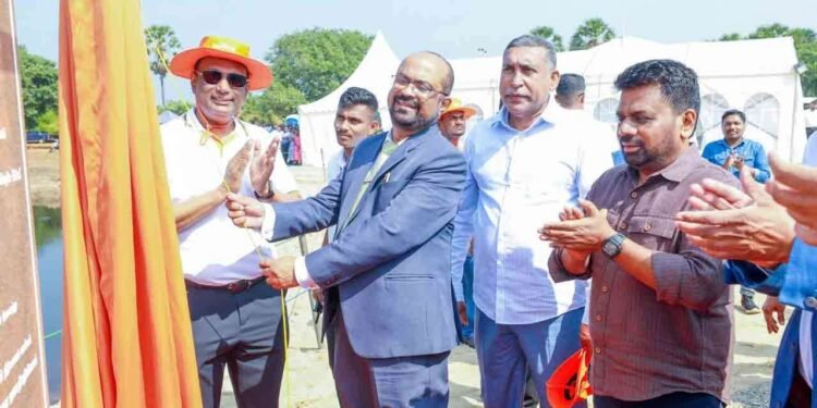 மன்னாரில் 50 மெகாவாட் காற்றாலை மின் திட்டம் ஜனாதிபதி தலைமையில் ஆரம்பம்