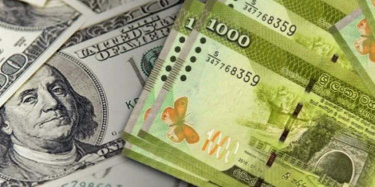 அமெரிக்க டொலருக்கு எதிராக இலங்கை ரூபாய் 5.6% வீழ்ச்சி