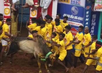 உலகப் புகழ்பெற்ற அலங்காநல்லூர் ஜல்லிக்கட்டு போட்டி இன்று!