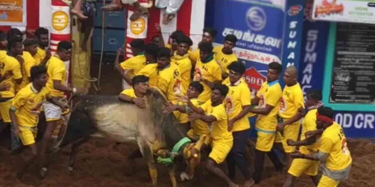 உலகப் புகழ்பெற்ற அலங்காநல்லூர் ஜல்லிக்கட்டு போட்டி இன்று!