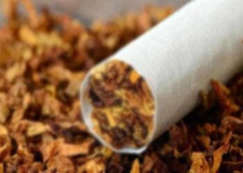 புகையிலை பயன்பாட்டால் ஆண்டுதோறும் 22,000 பேர் உயிரிழப்பு – அதிர்ச்சி தகவல்!