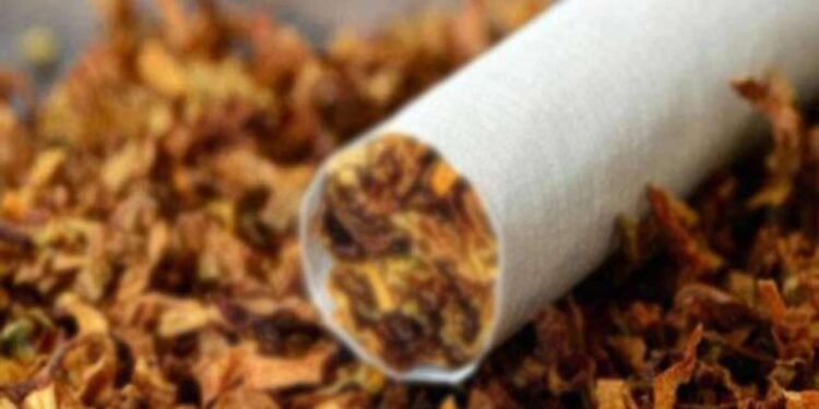 புகையிலை பயன்பாட்டால் ஆண்டுதோறும் 22,000 பேர் உயிரிழப்பு – அதிர்ச்சி தகவல்!